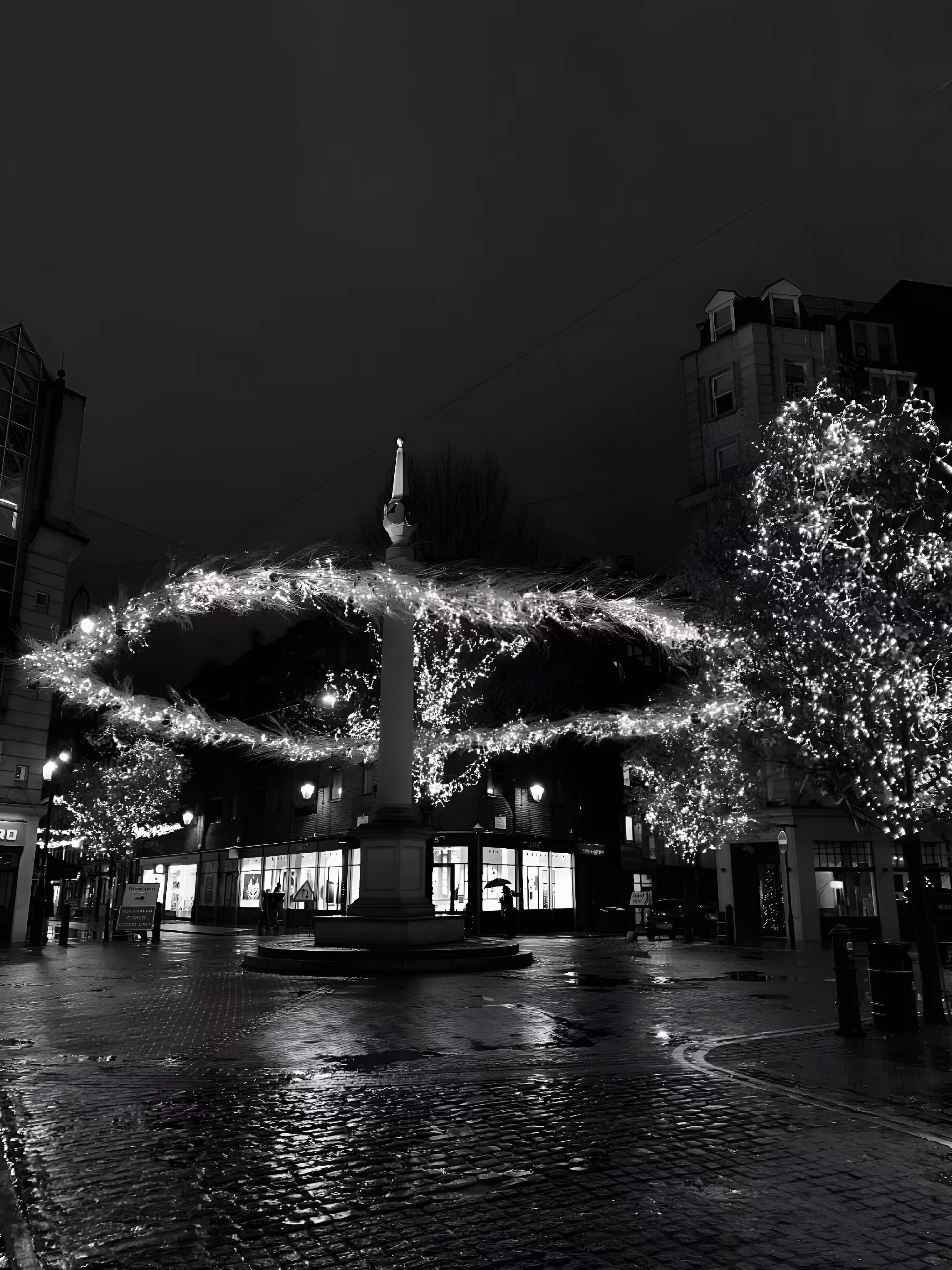 Christmas Garden