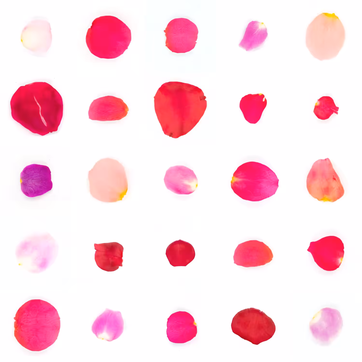 Infinite Petals 5x5#21196