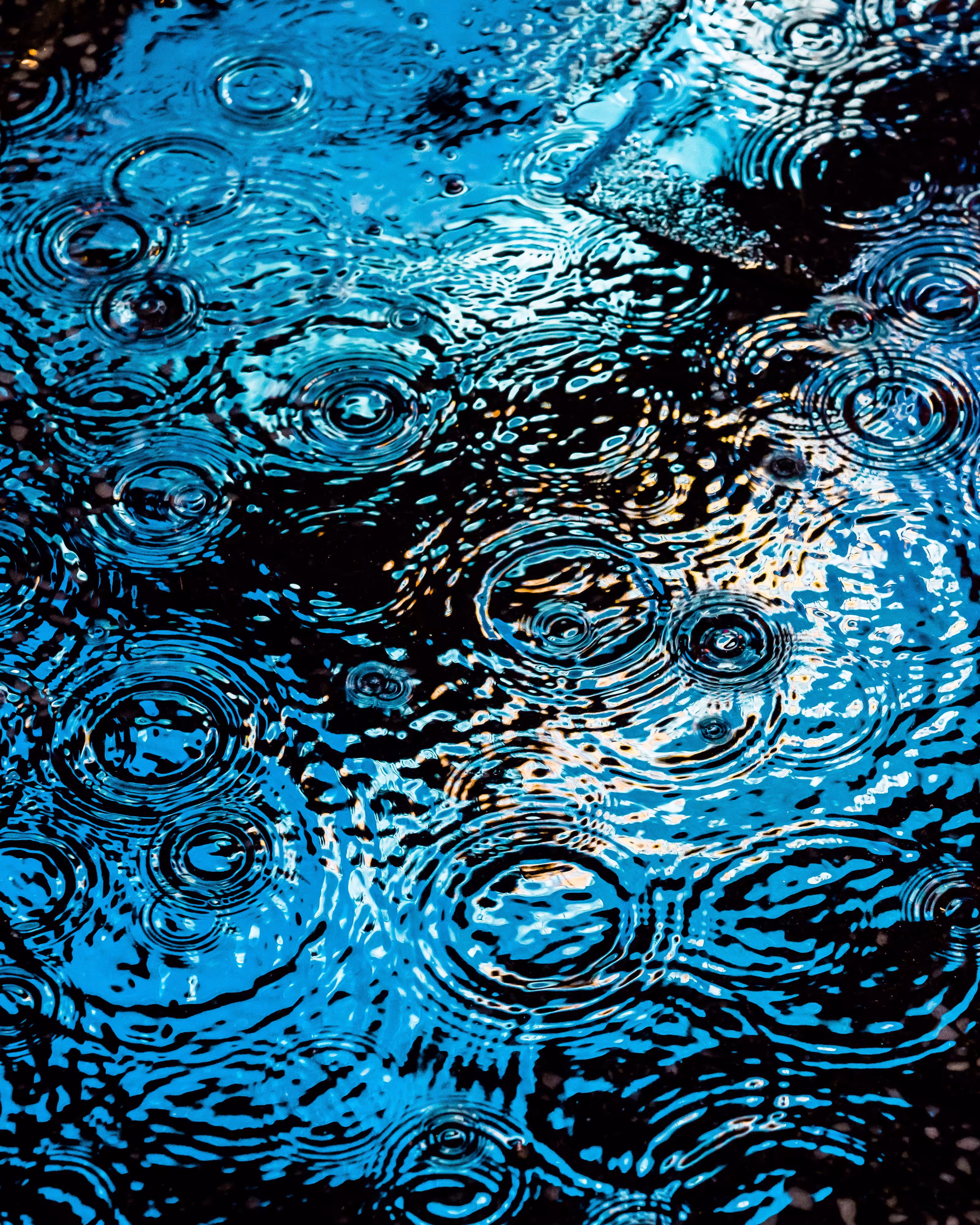 DRIP #148
