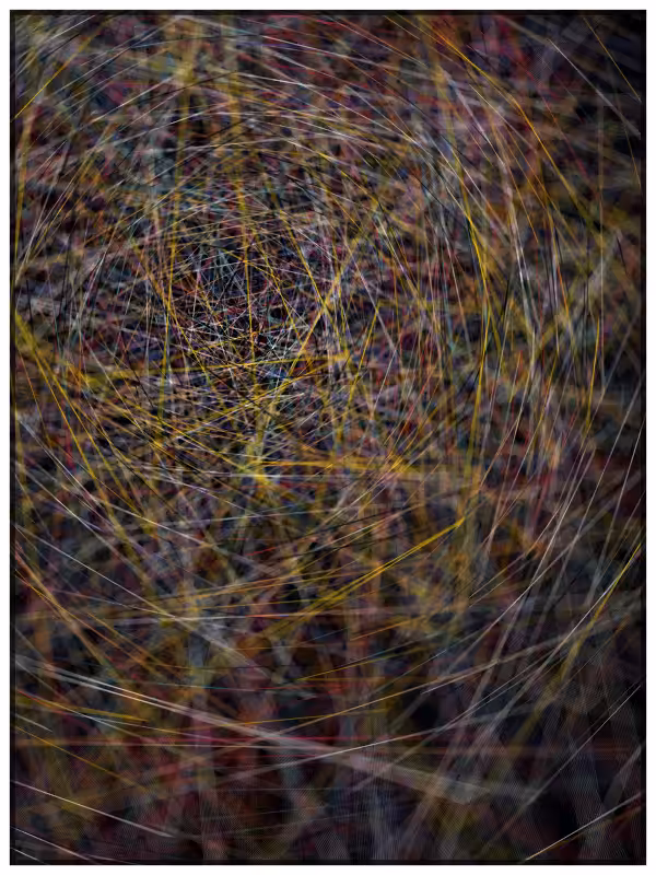 Haystack in a Needle #19