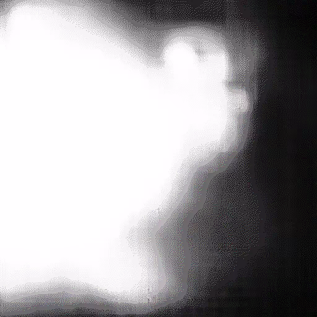 S.E.I.M.C.A: Something Exquisite #12