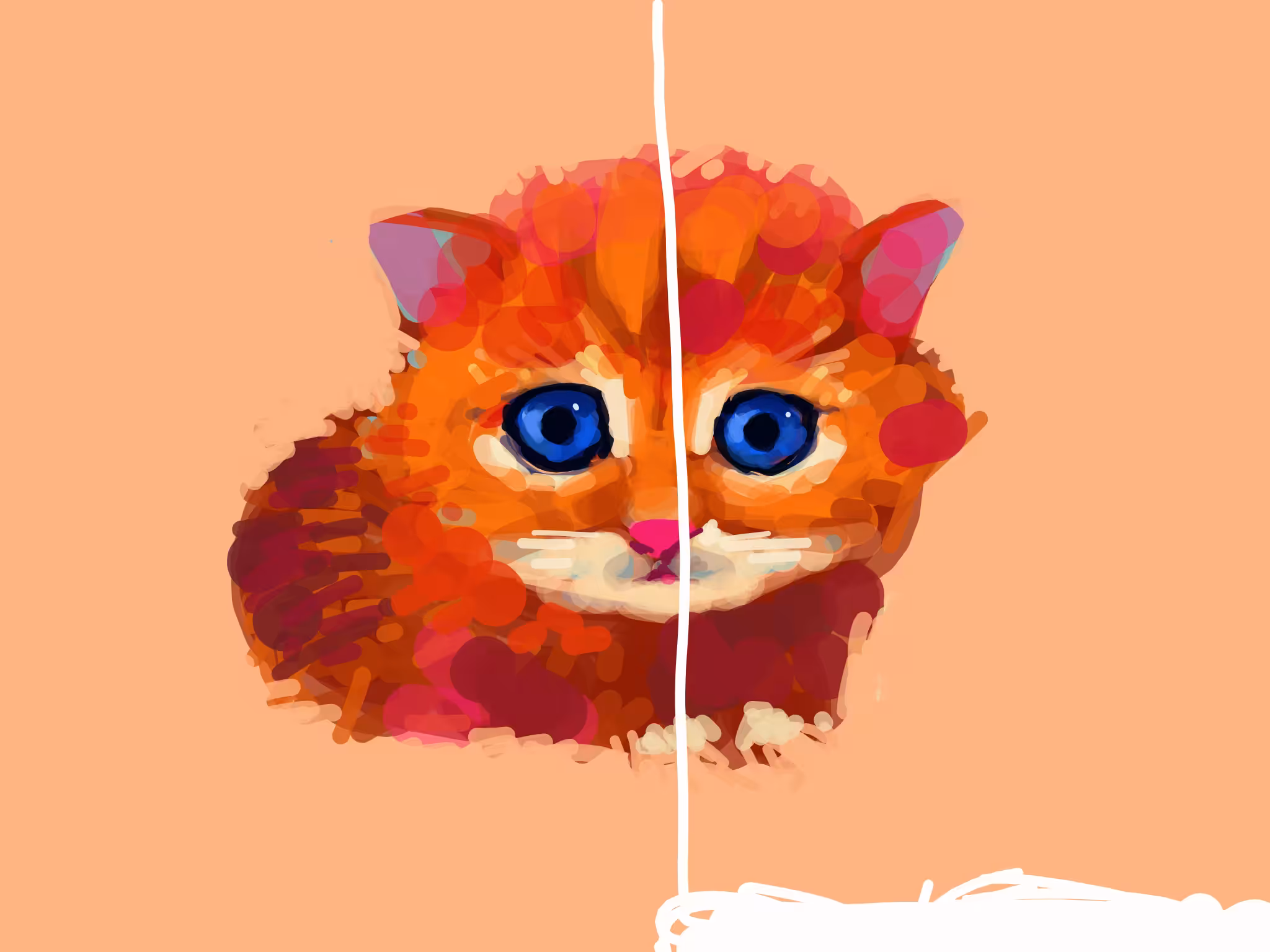 Cutie Cat