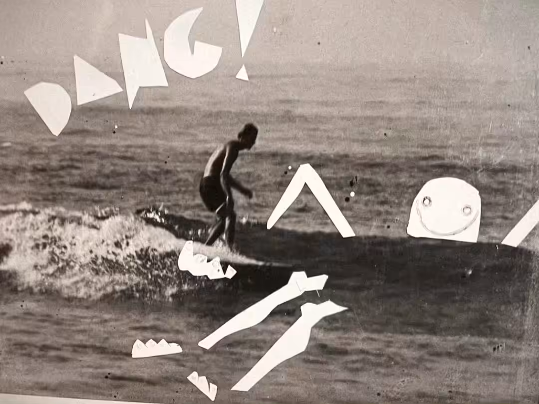 · ✧ DANG⋆*