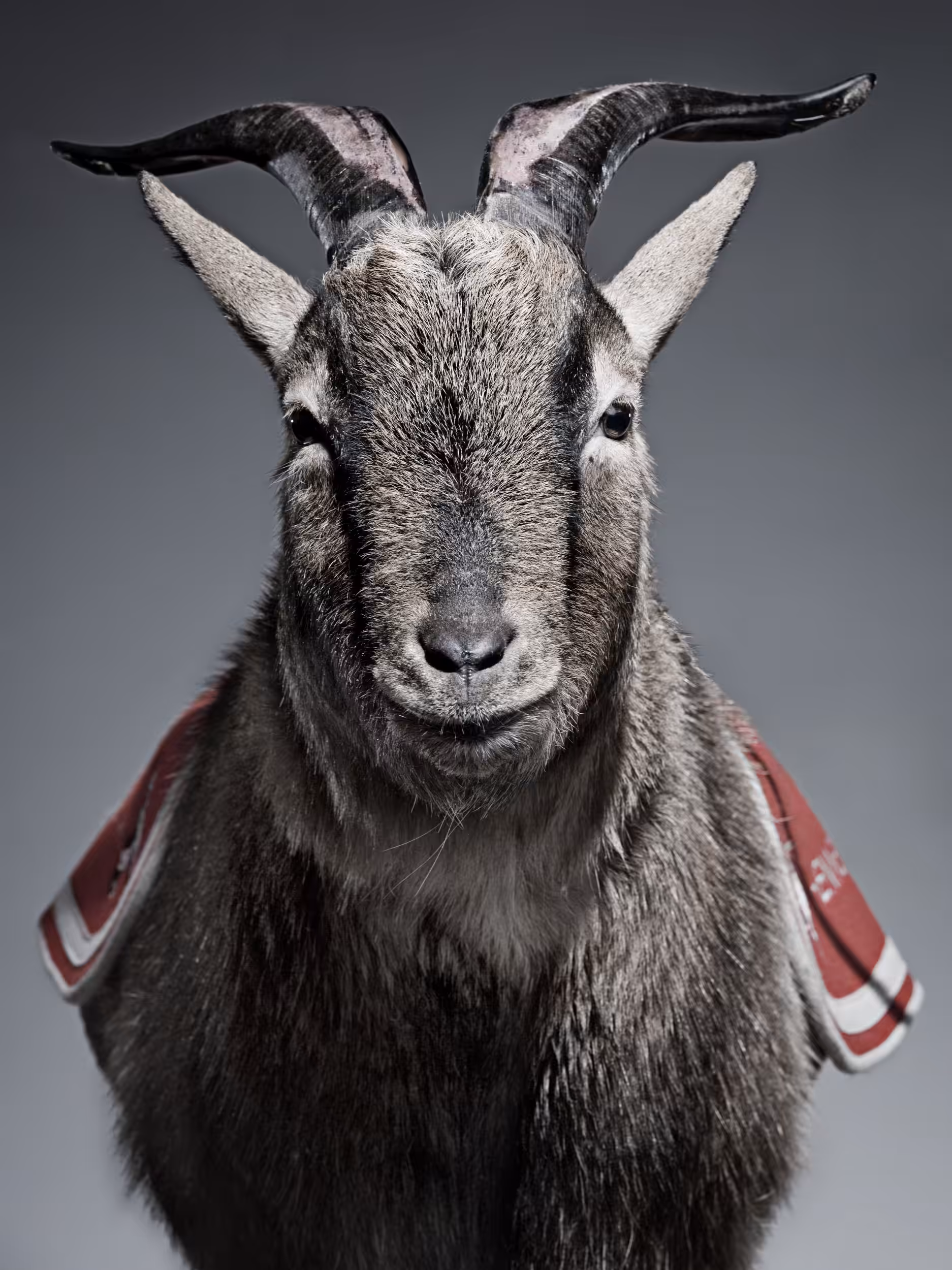 Hennes VIII #1