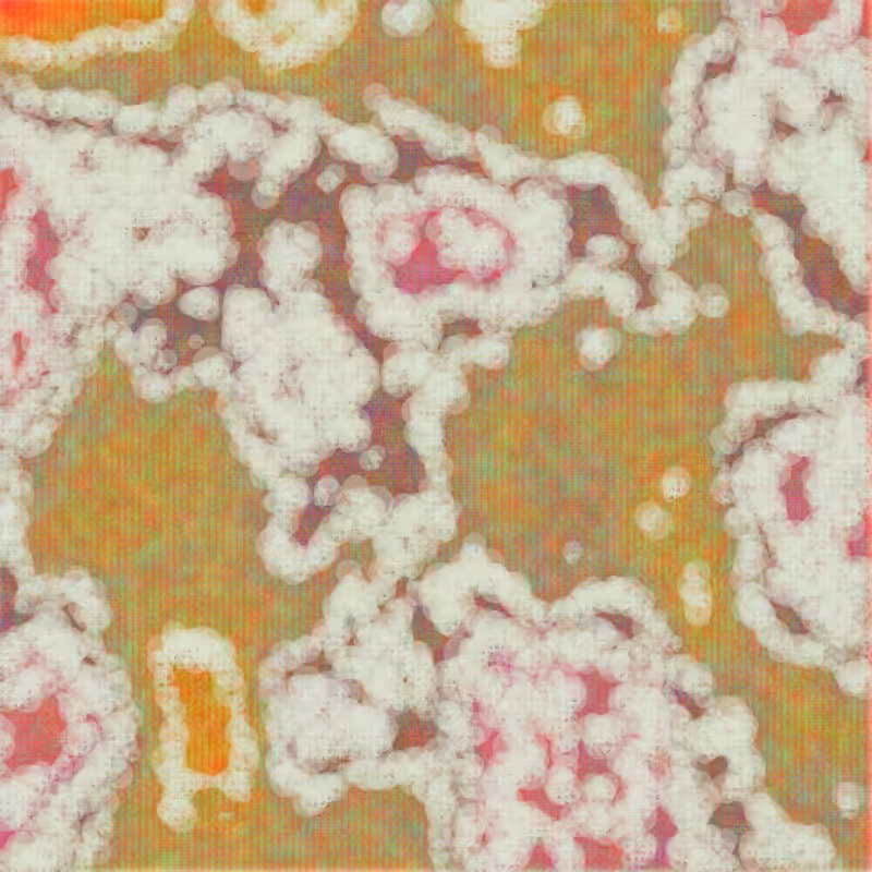 Petri 1500 #738