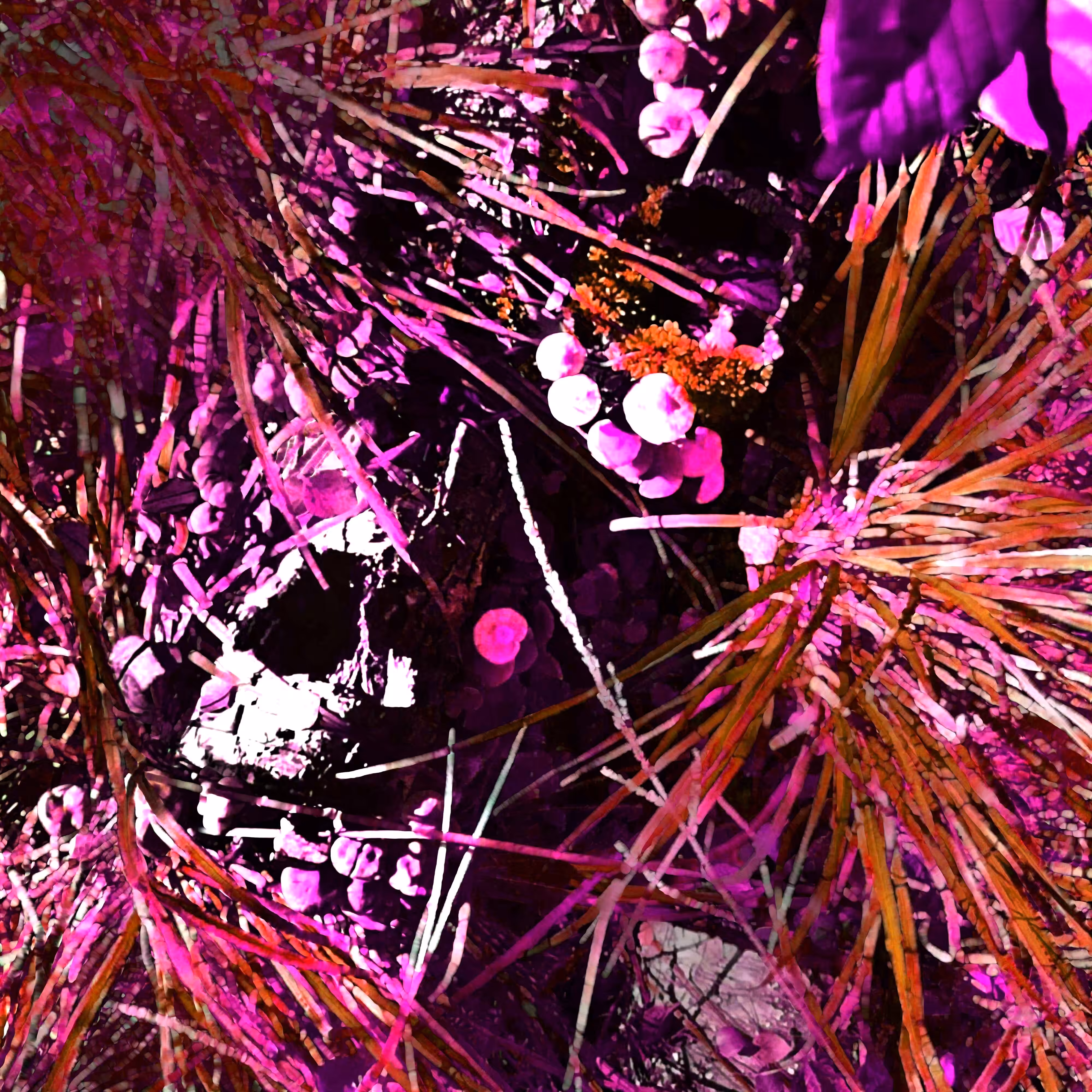 Plot u329hvj7f