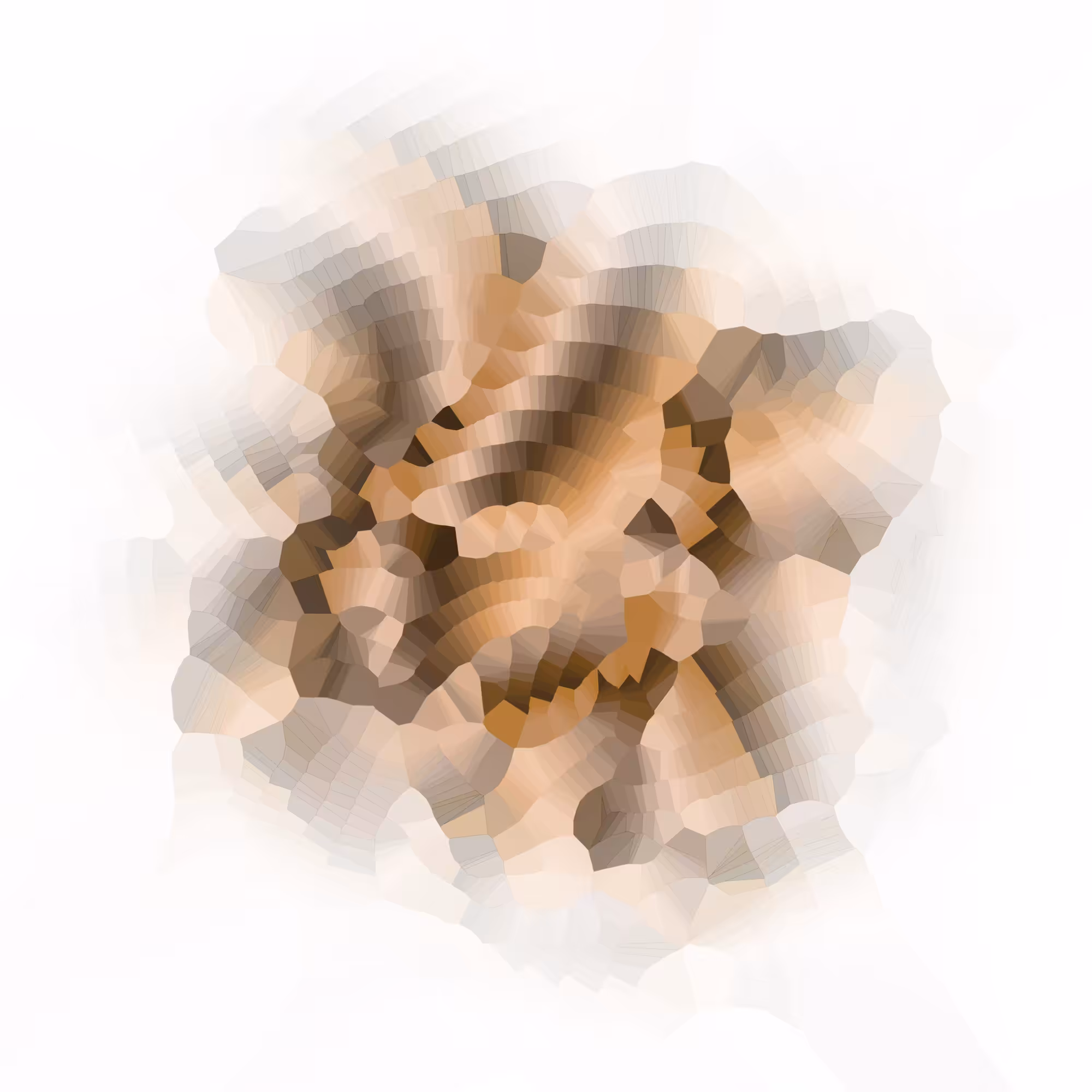 Incomplete Convergence #205