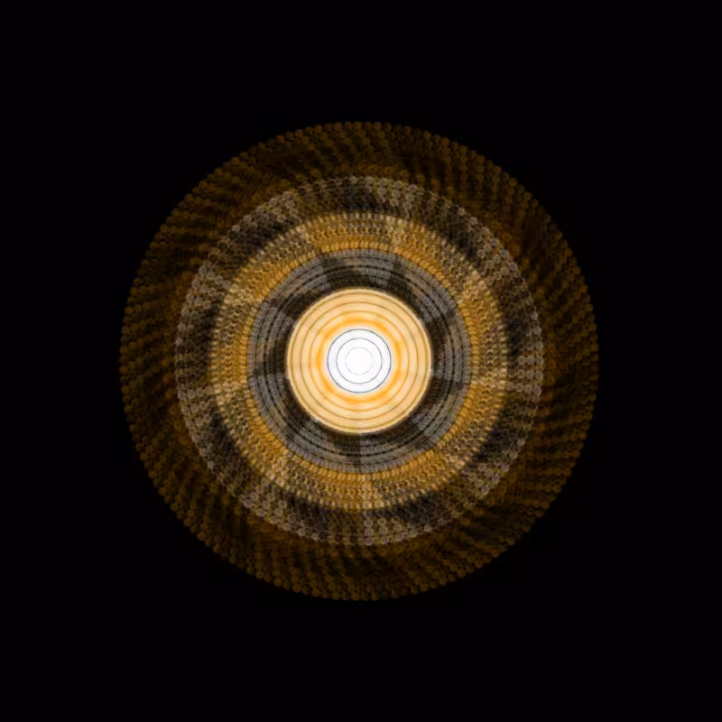 Spin #5