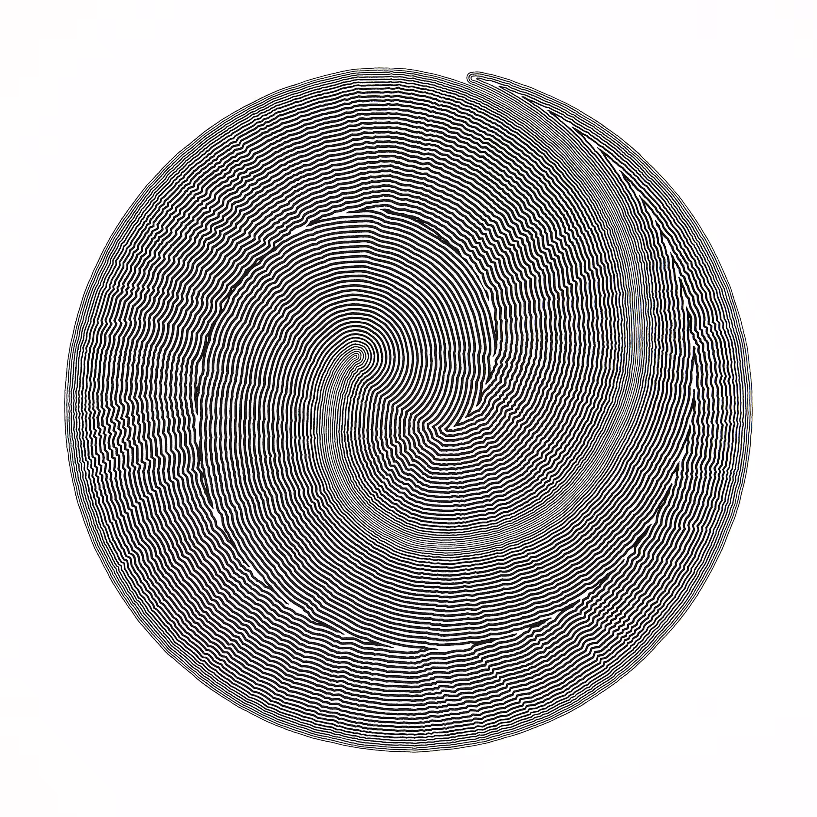 Striated Disk #11