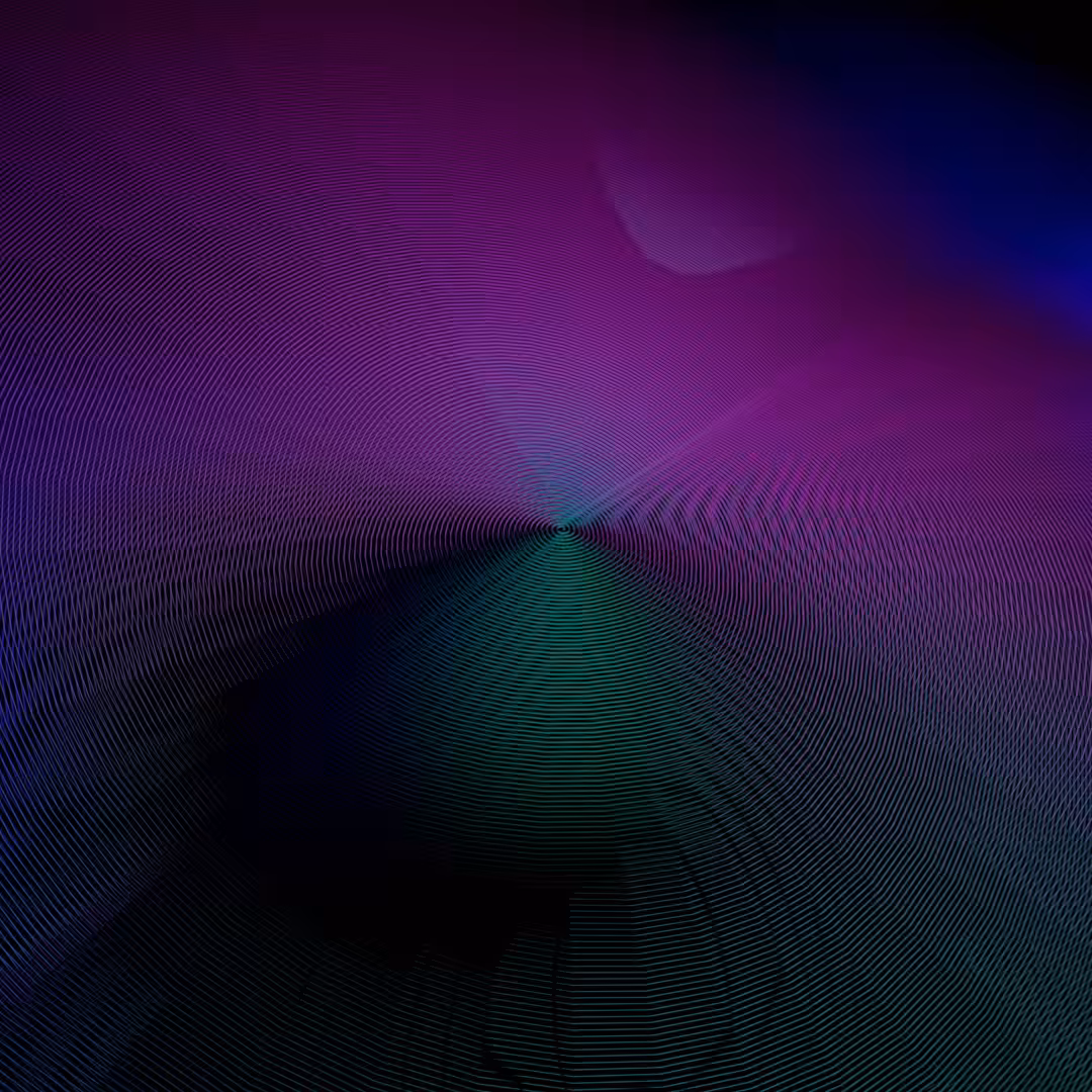 Disk