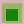 Homage to the Pixel: Plant