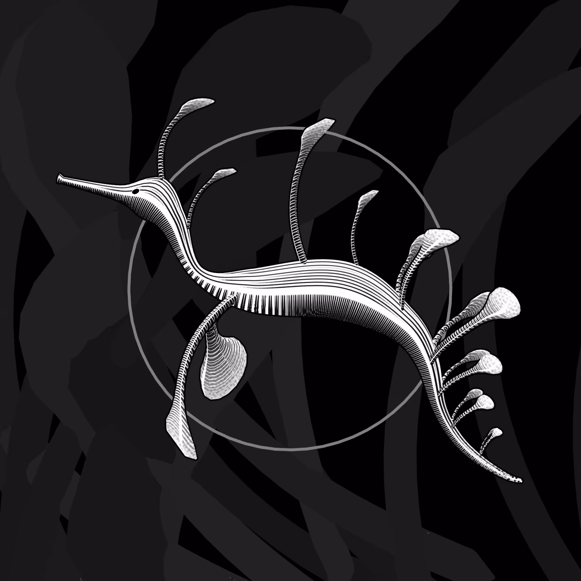 Seadragons #41