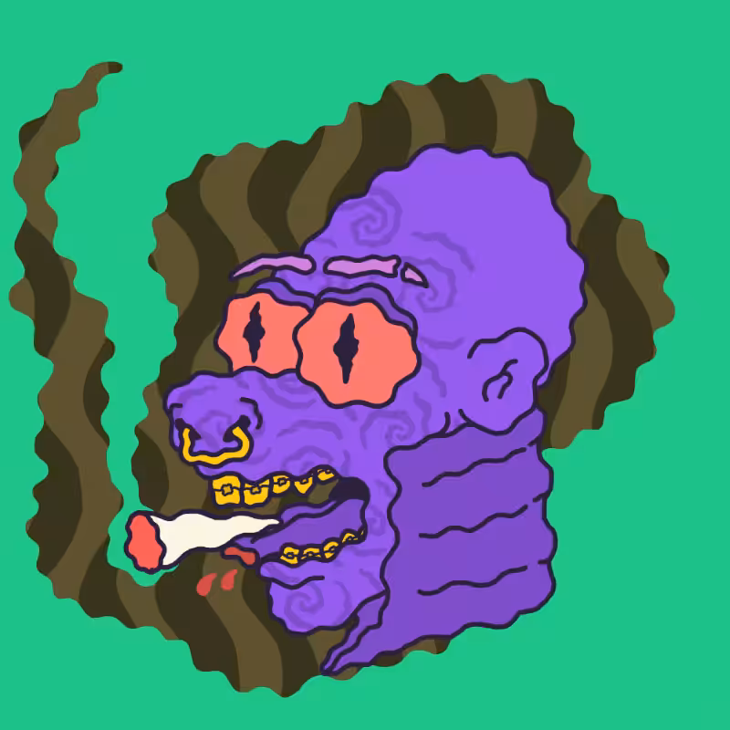 HASH FREAKS #503