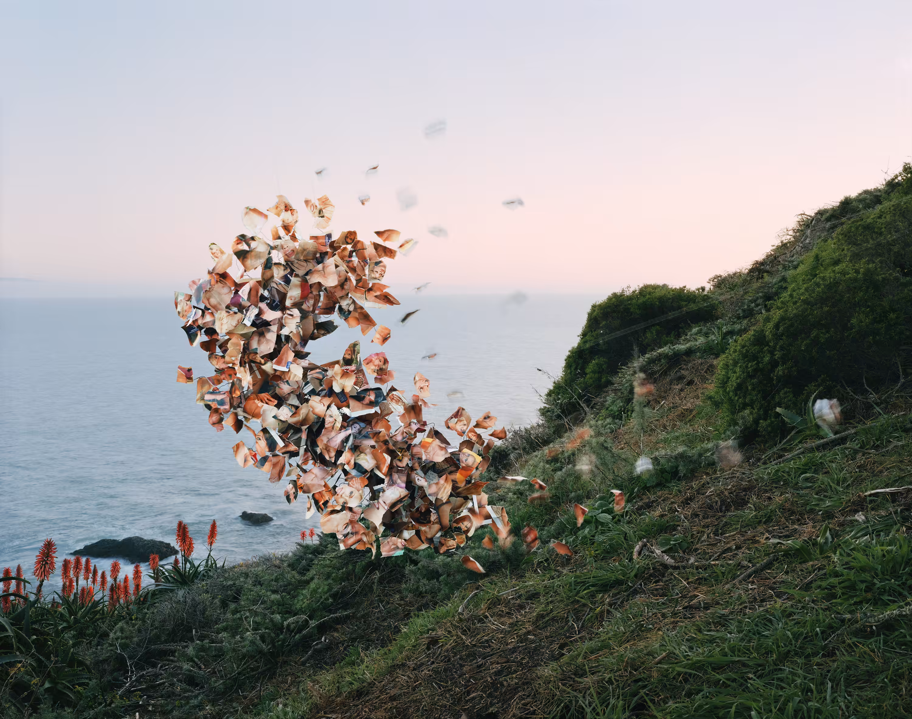 Lusty Wives Vol. #81, Muir Beach, CA, 2015