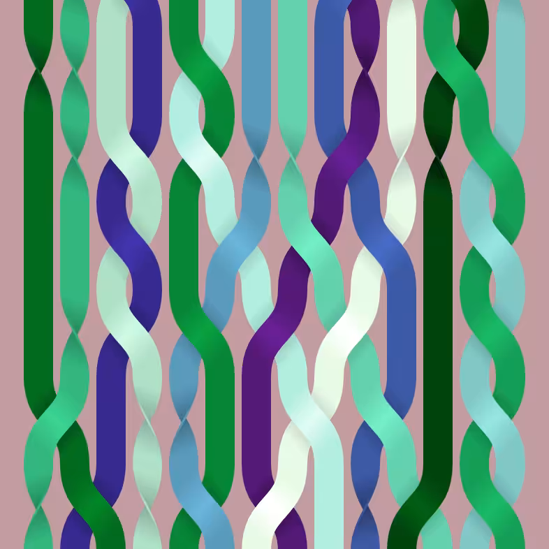 Endless Braids #88
