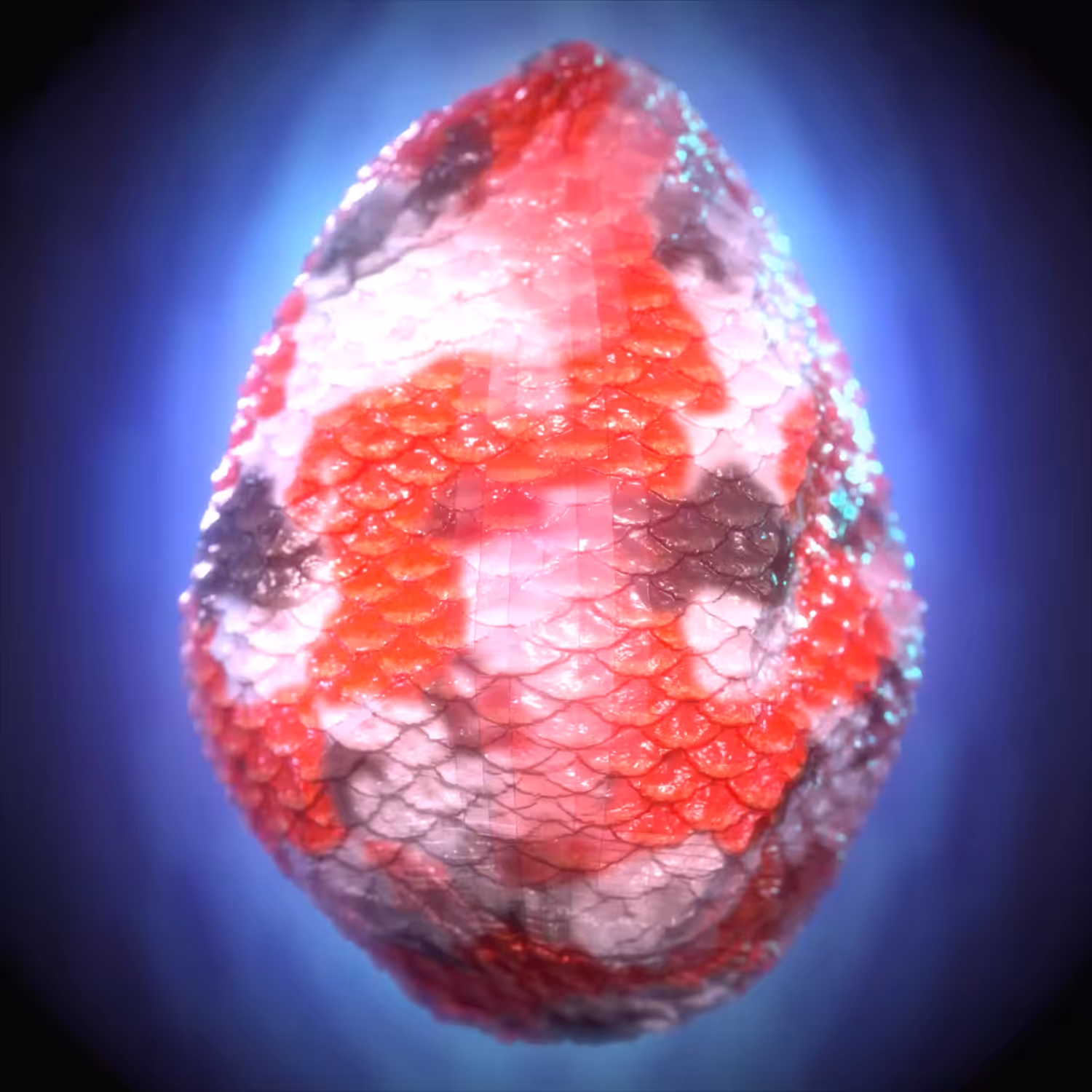 EGG No.5
