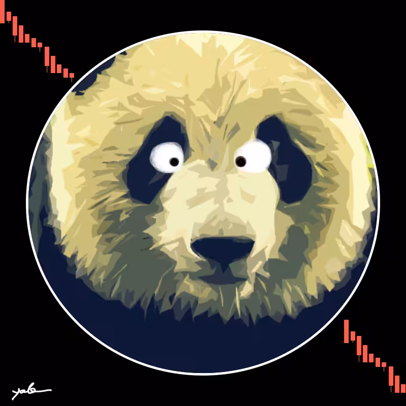 Bears VS Bulls #12