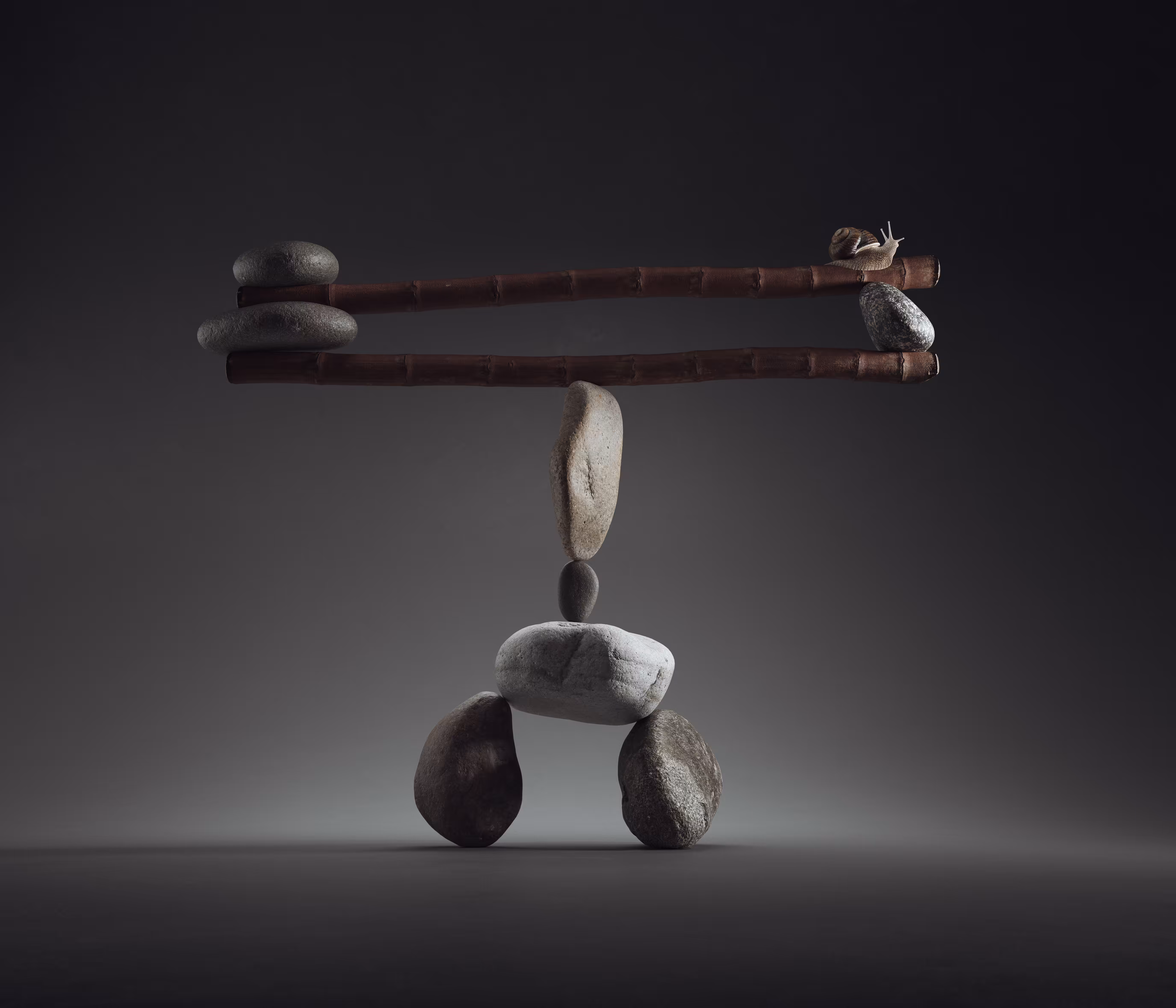 Balancing Act 6