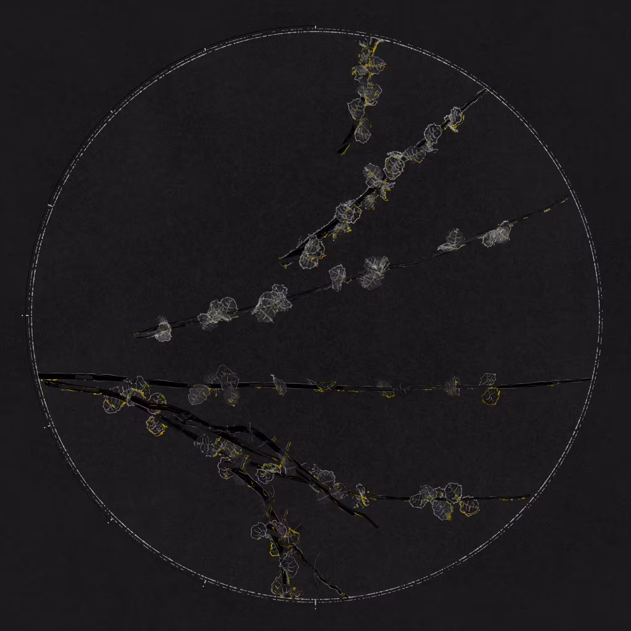Polypaths | 植徑集 #256