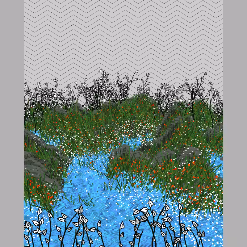 Contours #31