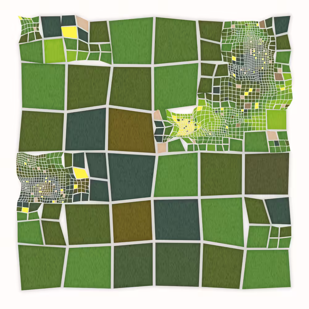 warpGrid #2