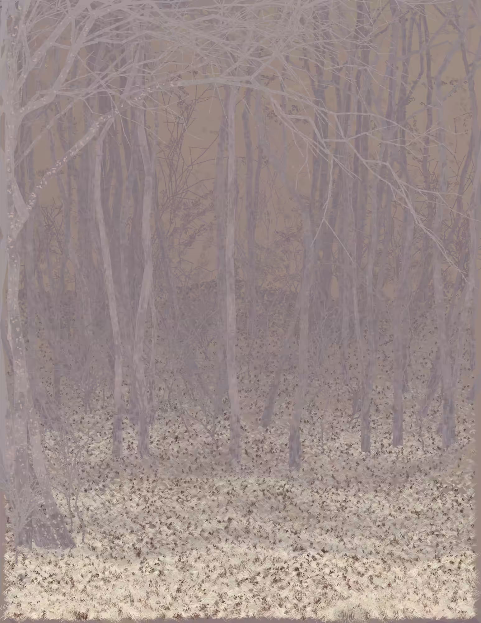 Deep Forest #323