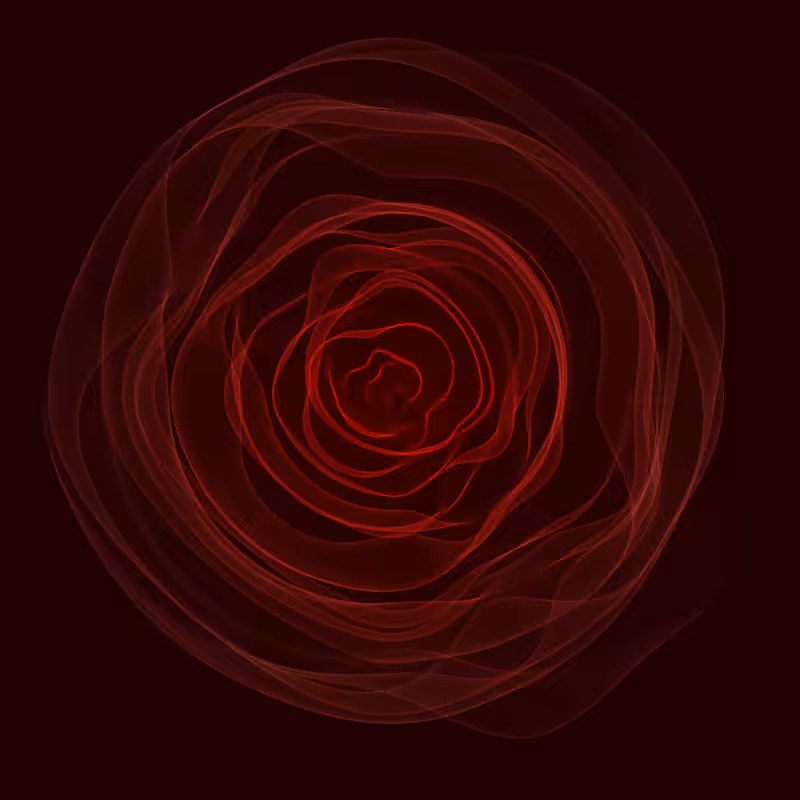 Roses #18