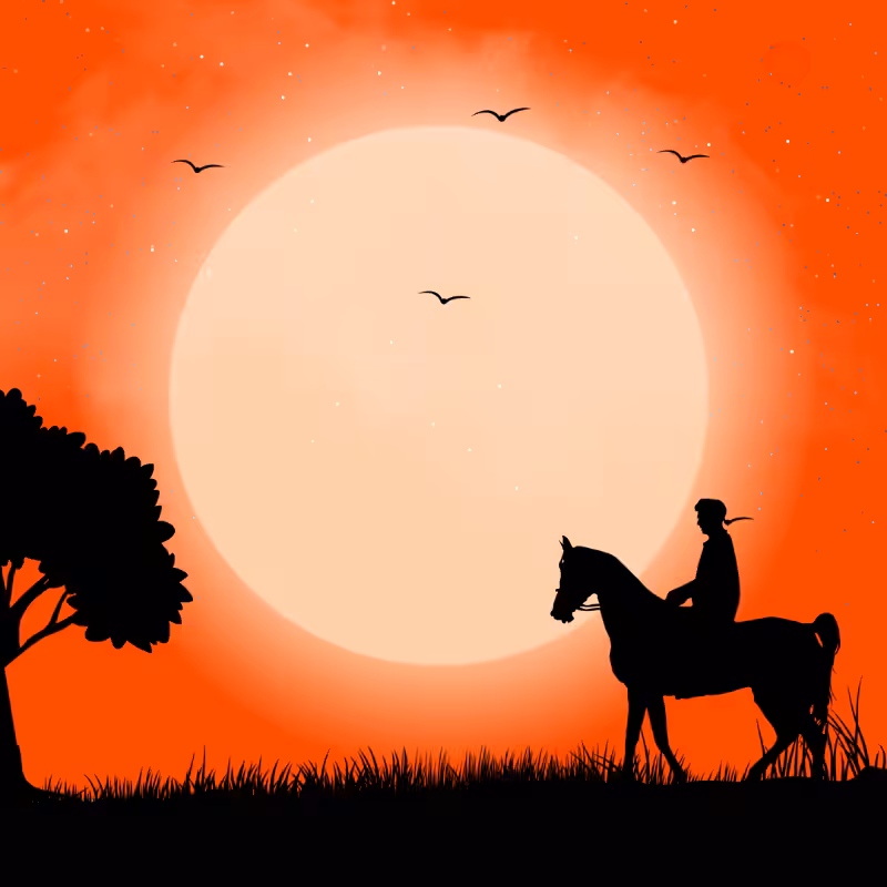 We Care...NOBLE HORSE #1