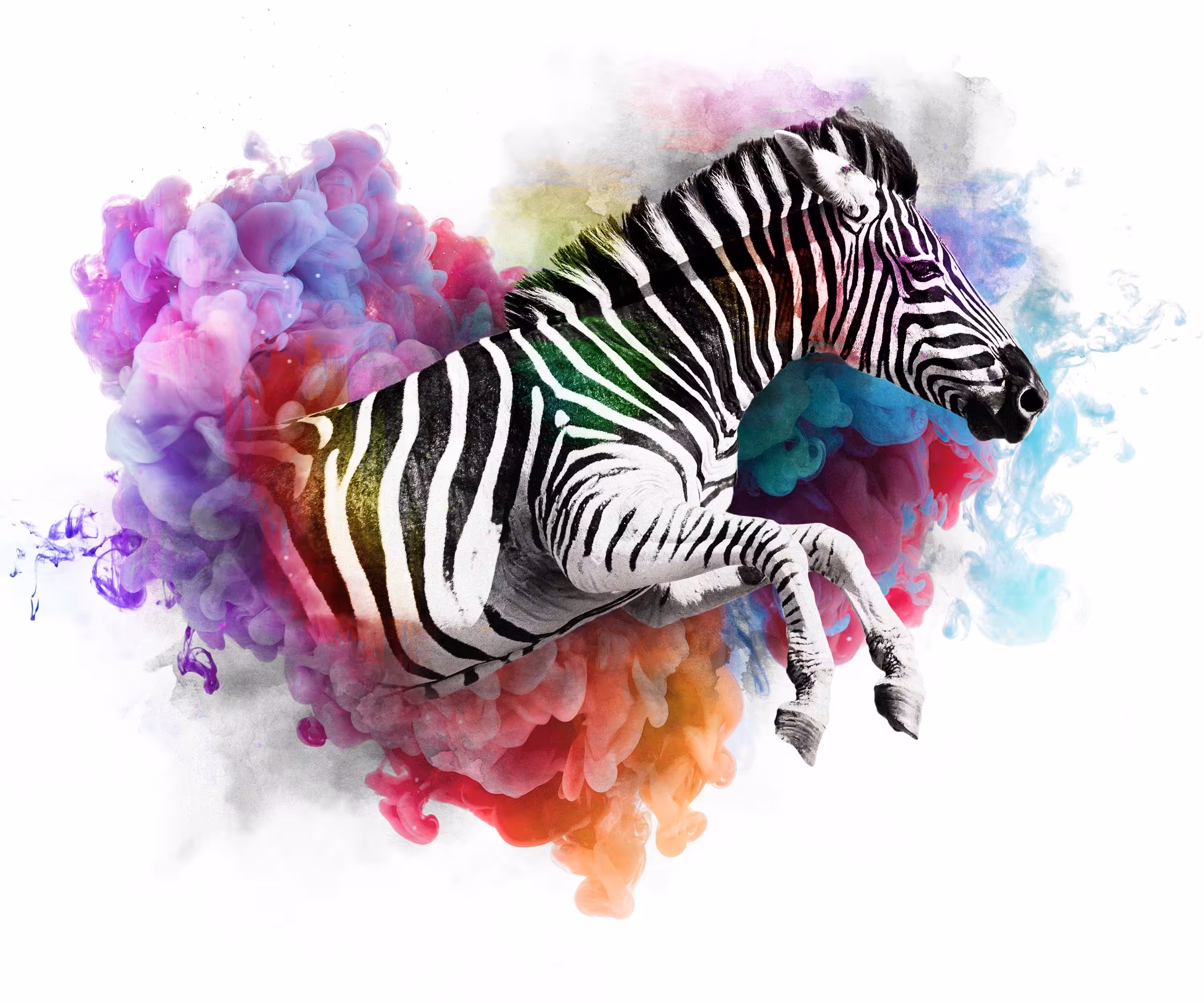 The Animal Kingdom Collection: ANTI-VENOM PSYCHEDELIC - ZEBRA