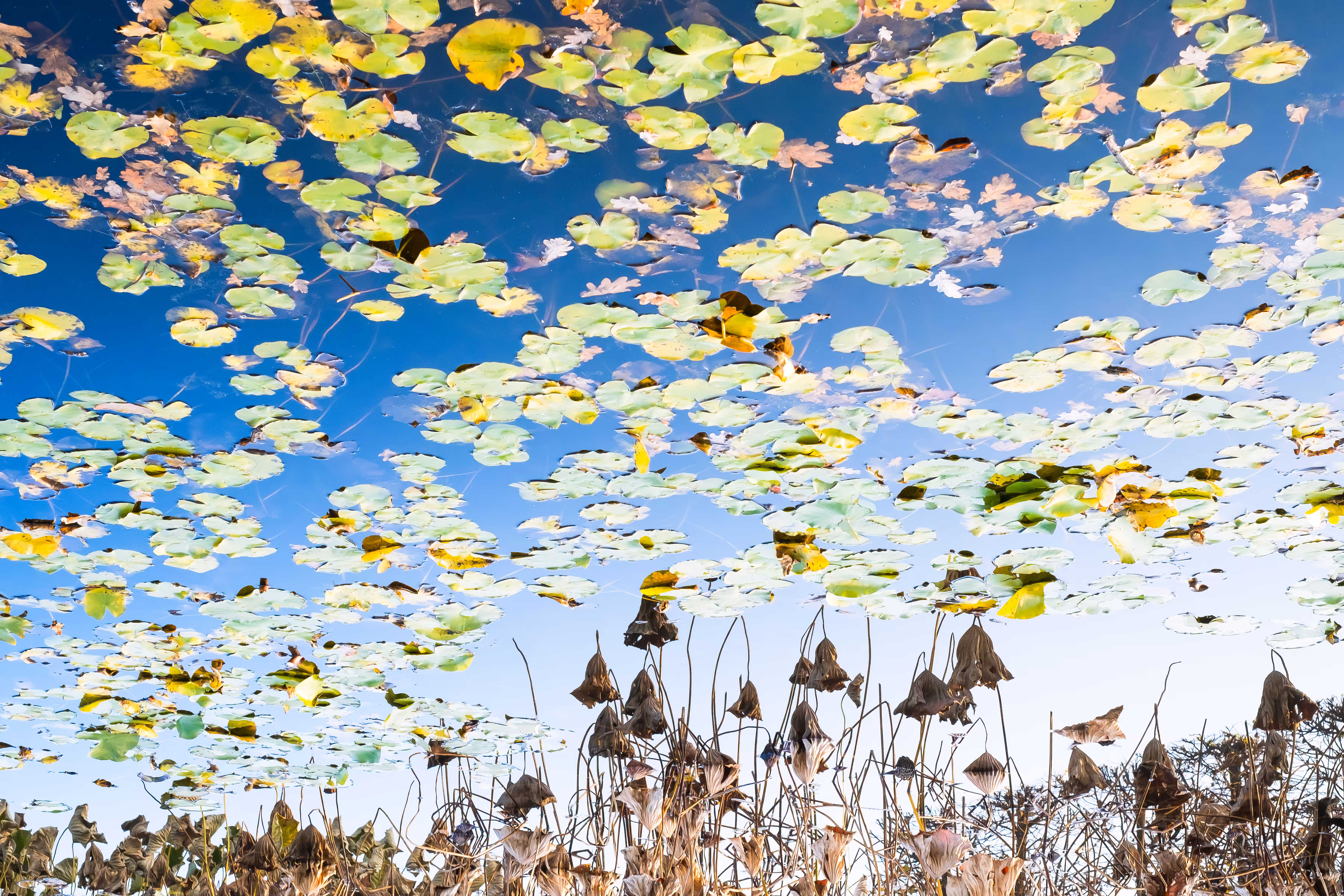 Waterscapes #2  - Heaven