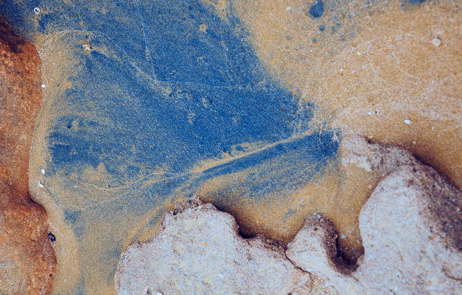 Blue Sands #12