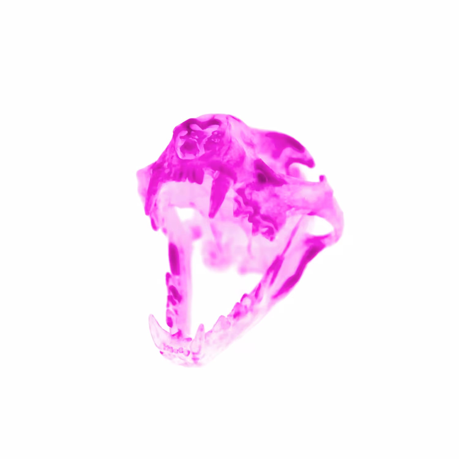 Radioactive Roadkill Pink Gamma (Bobcat)