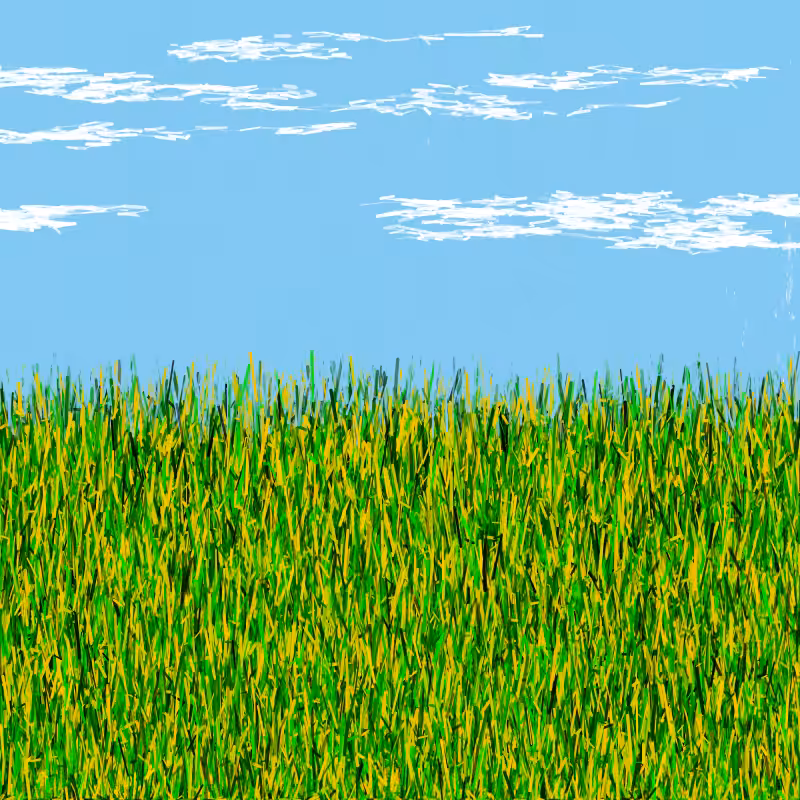 Kansas Skyline #1