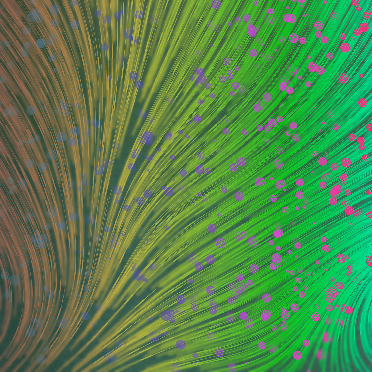 Gentle Force #4