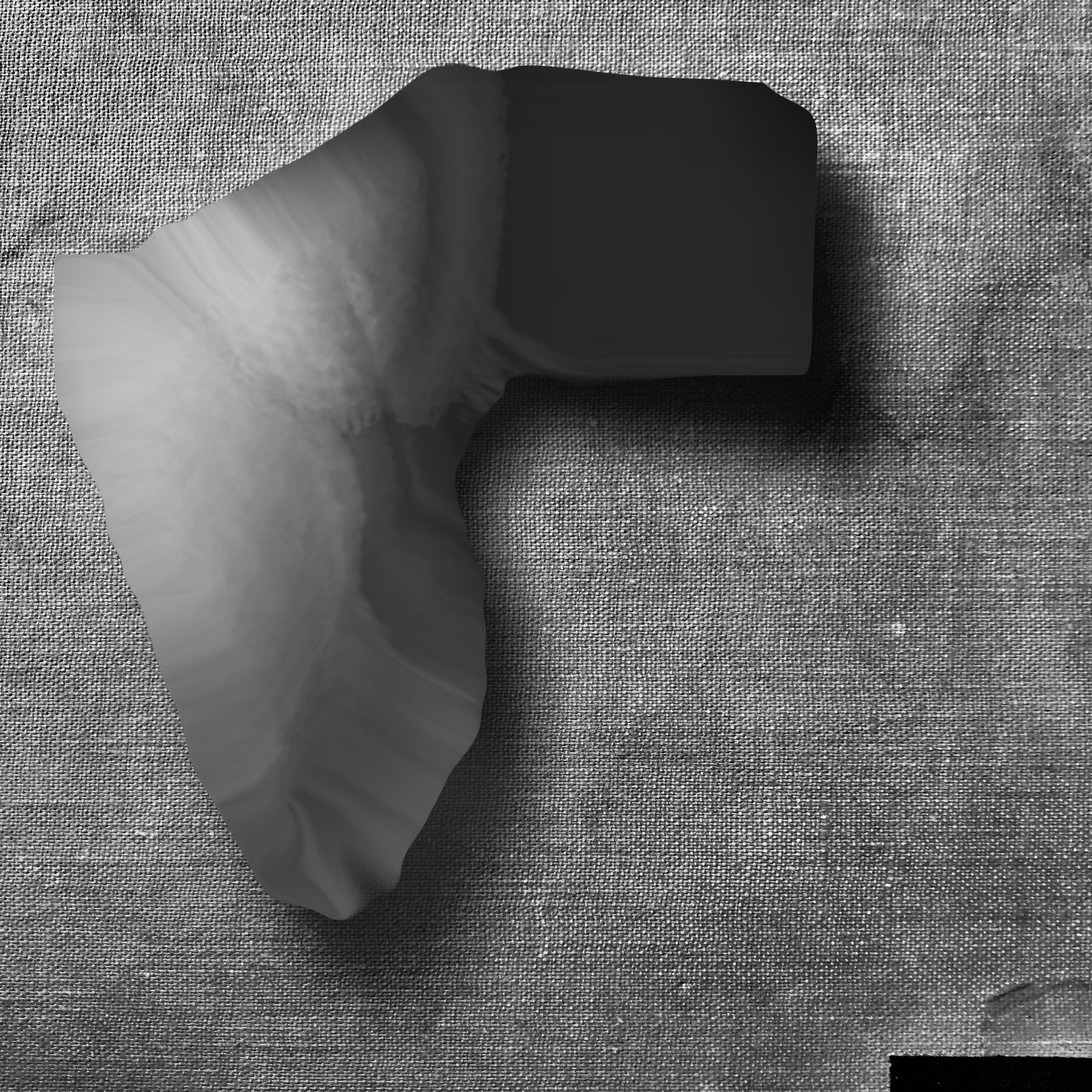 Digital Artefact 11 w-m