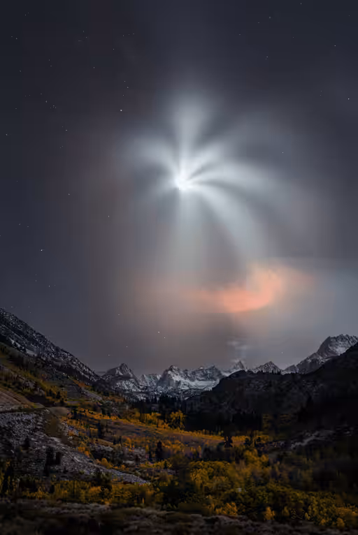 Starlight