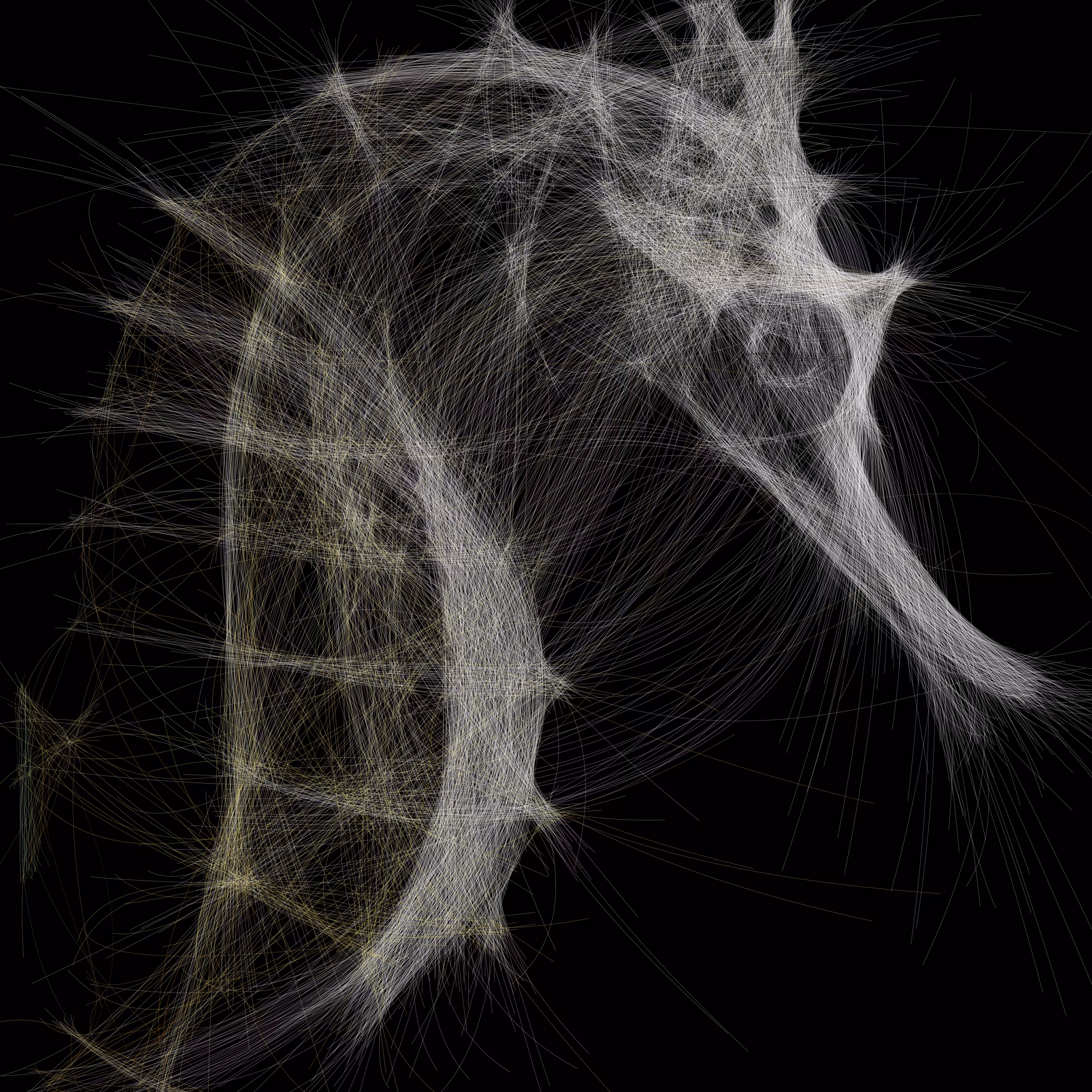 Underwater 359