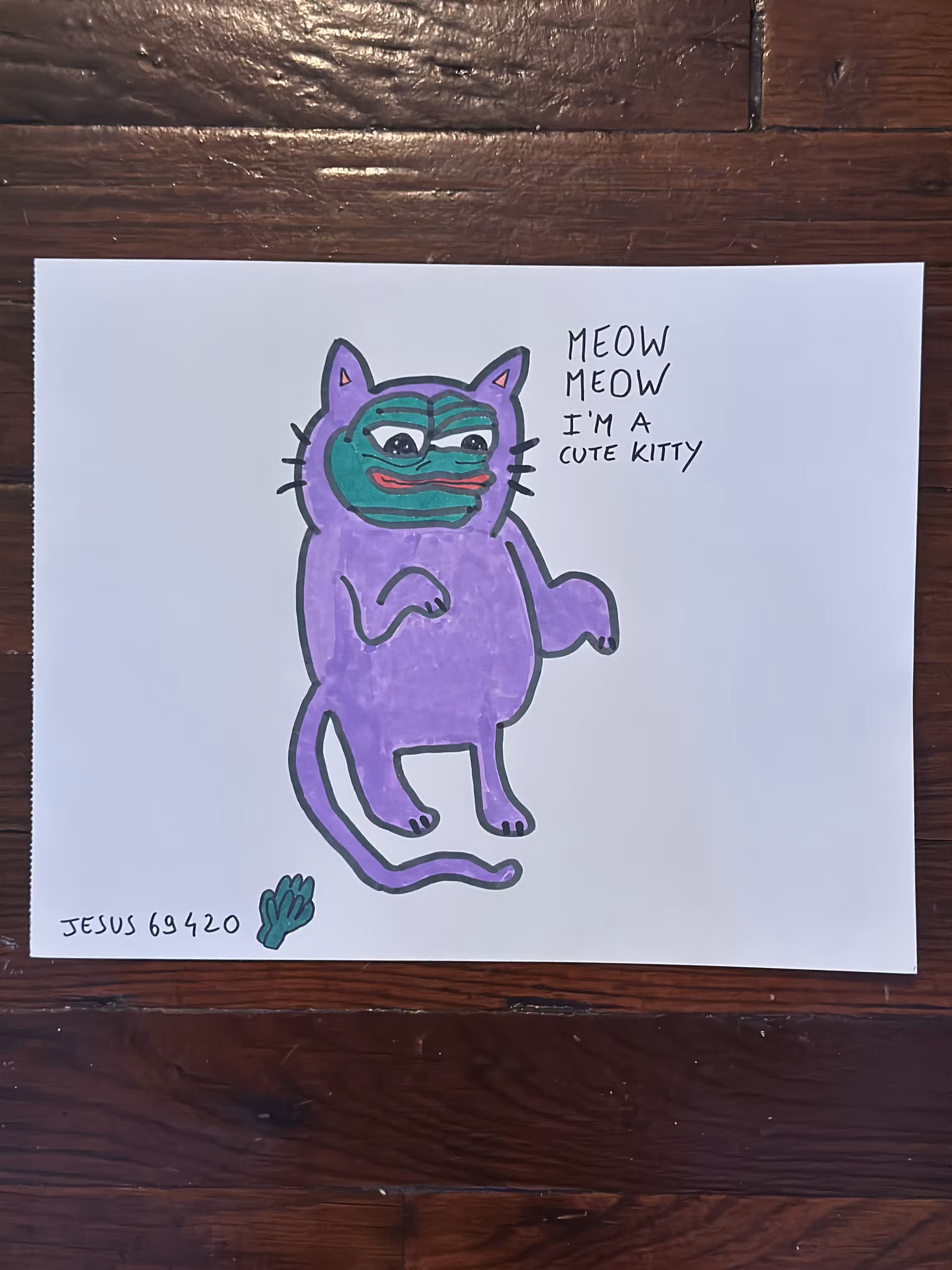 PePaperPe: Meow meow I’m a cute kitty 
