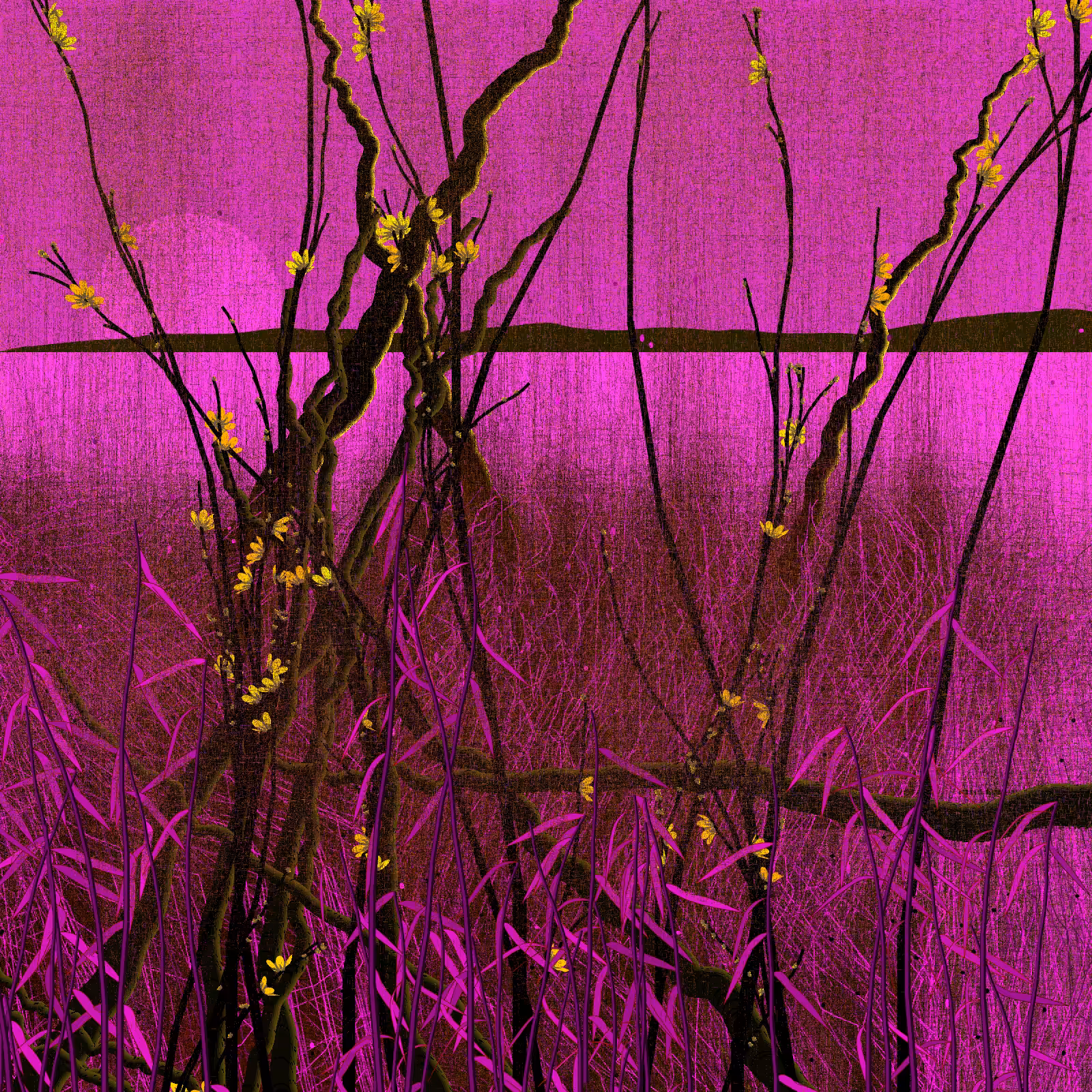 Dry twigs #36