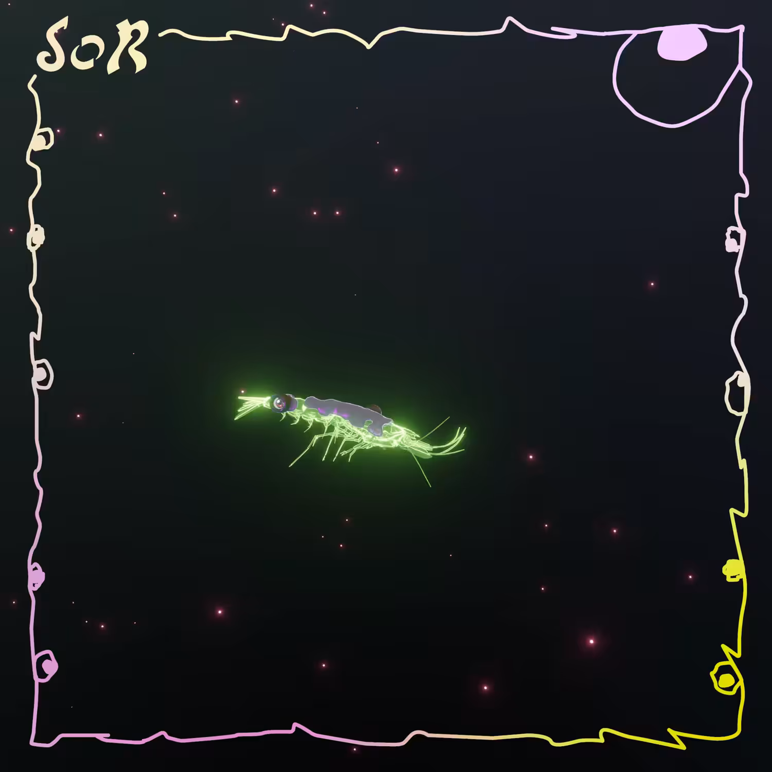 Shrimp #515