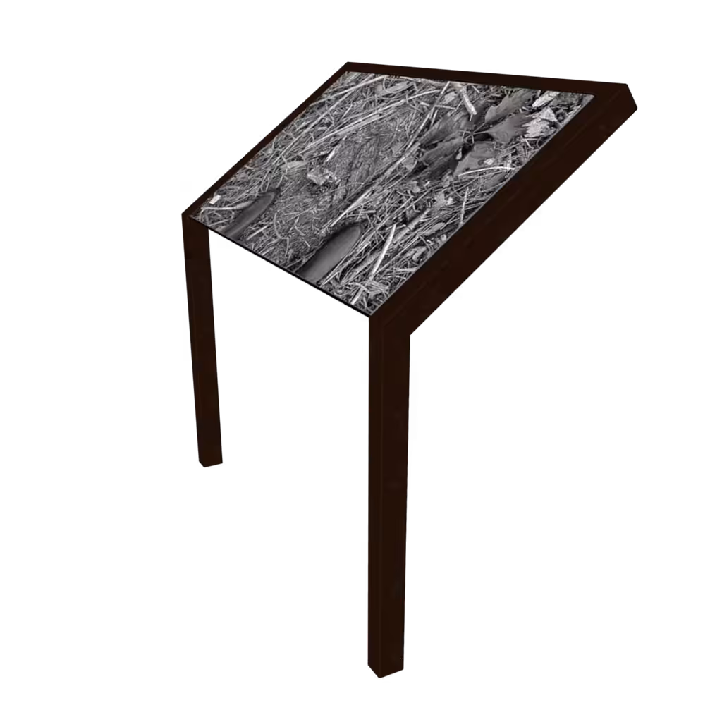 ⓘ – Evidence