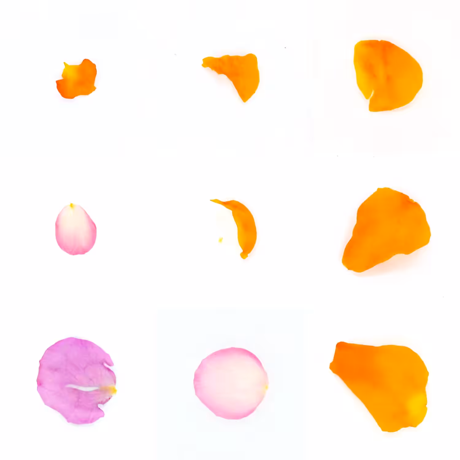 Infinite Petals 3x3#3751