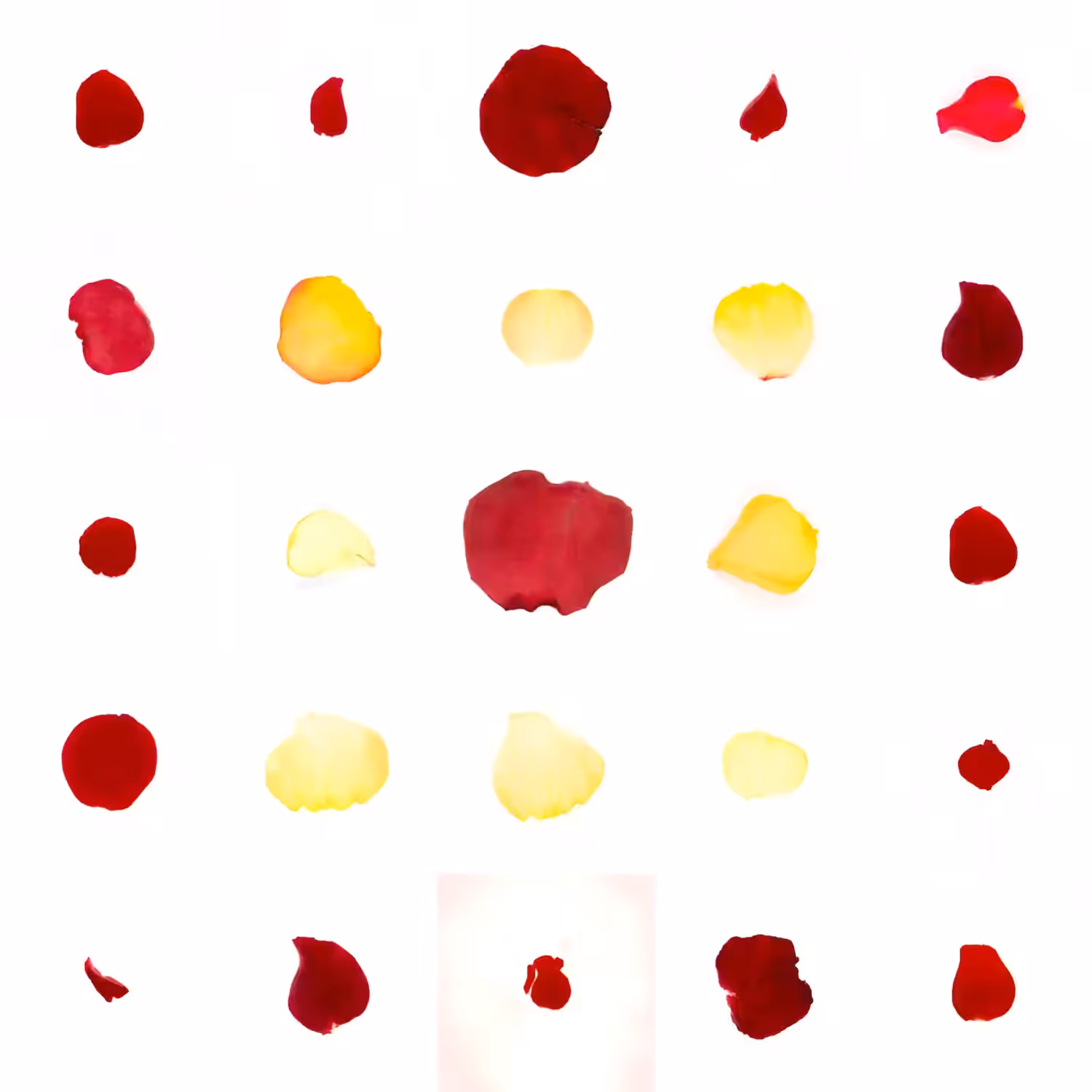 Infinite Petals 5x5#1423