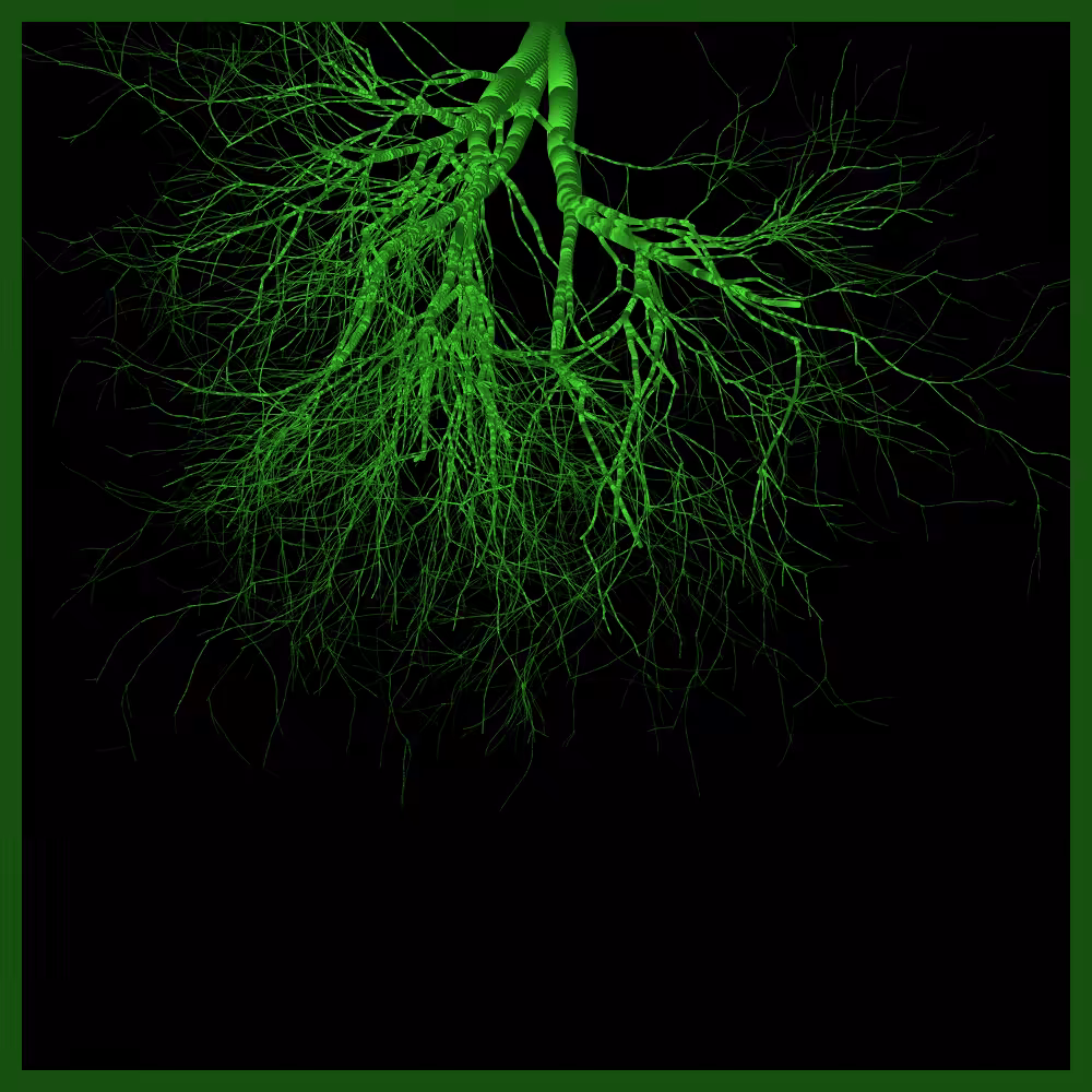 Arbres suspendus #40