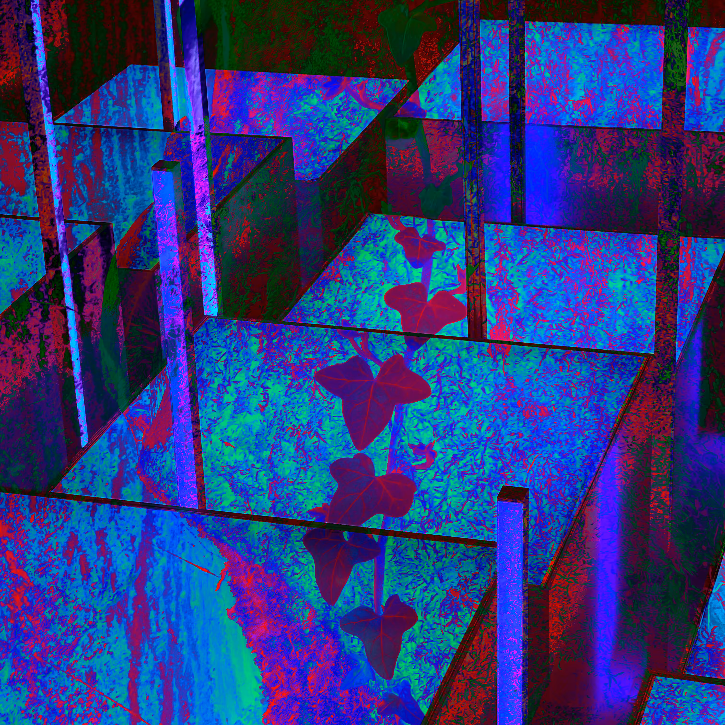 Archispora #5