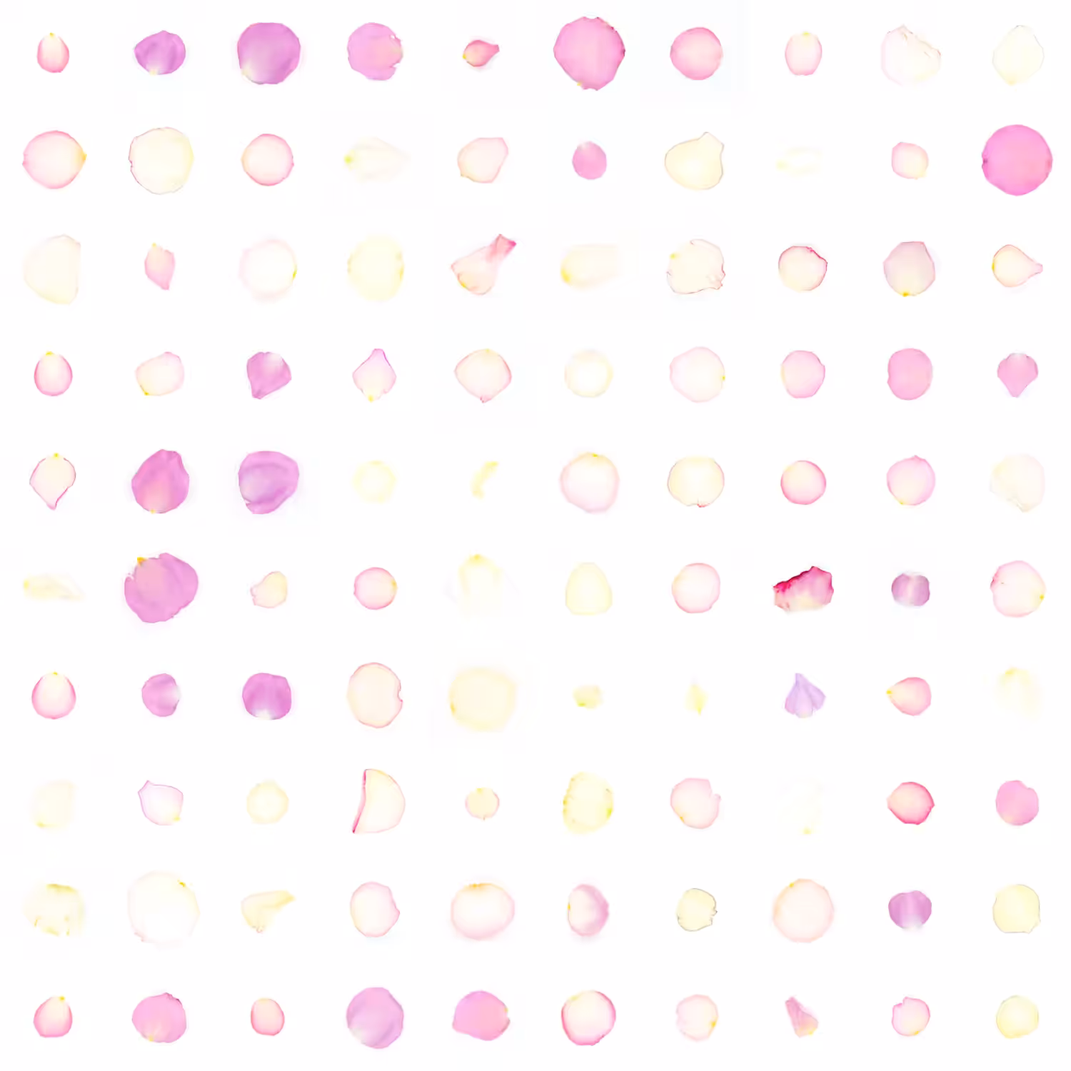 Infinite Petals 10x10#983