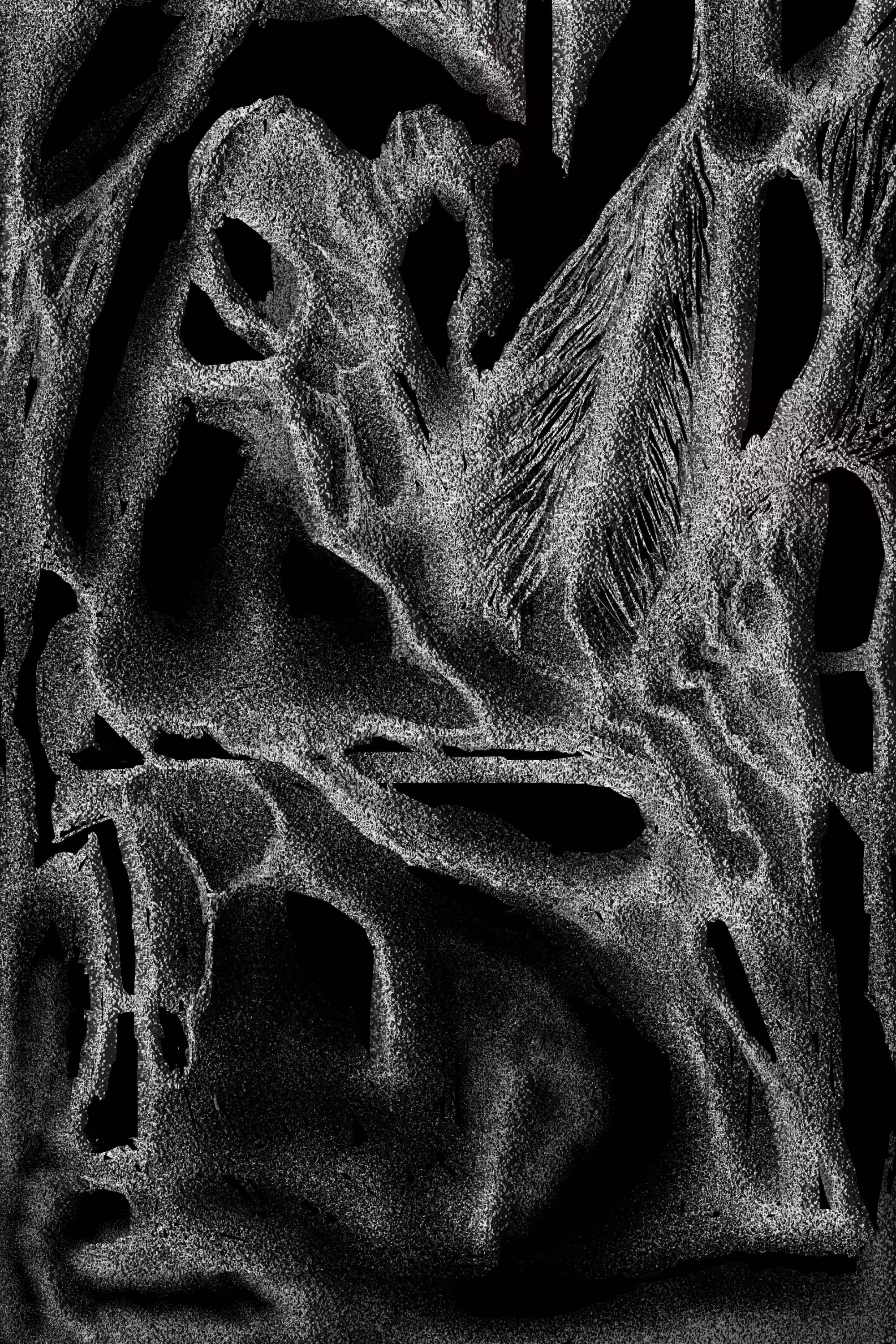 DIGITAL LIFE 