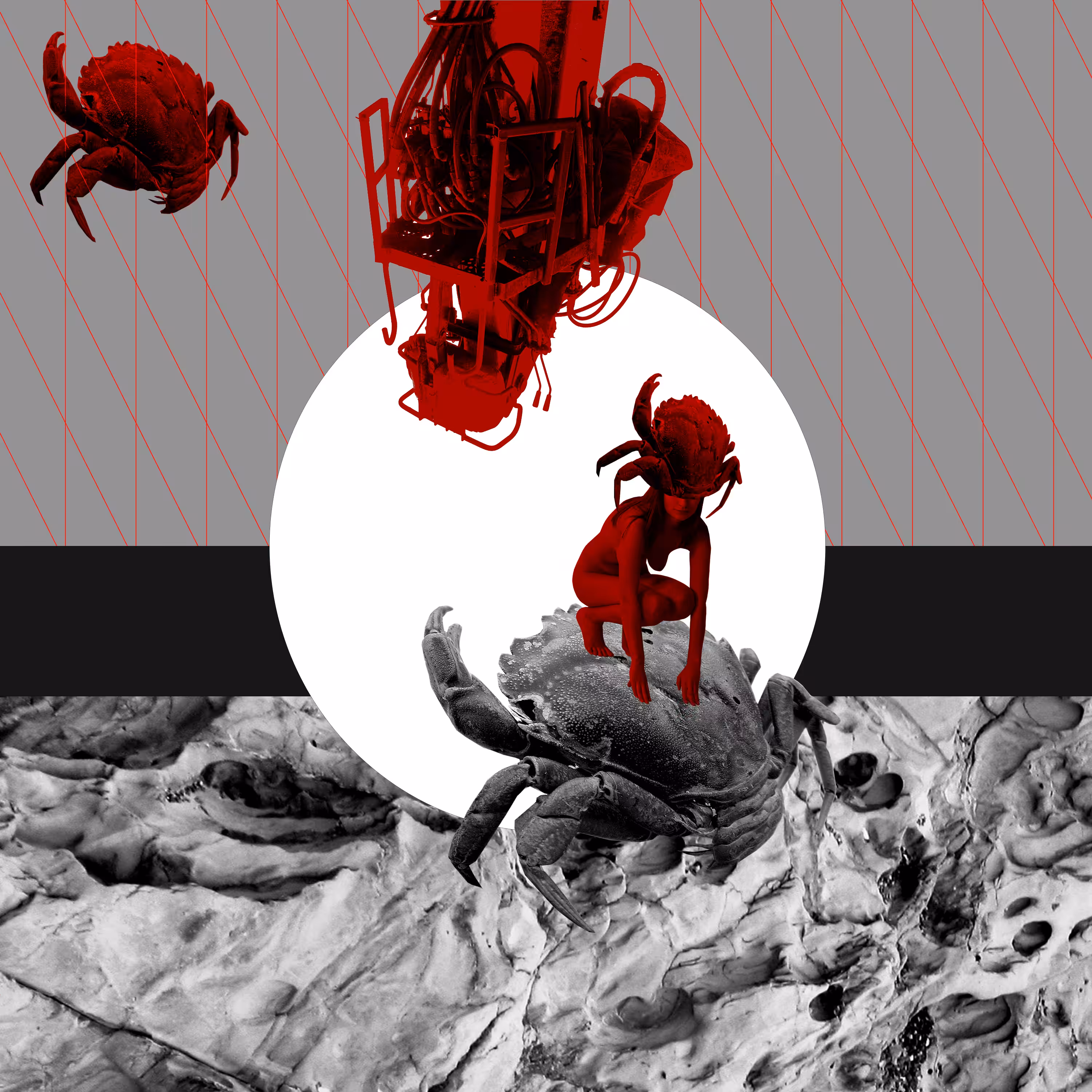Lunar Crabs