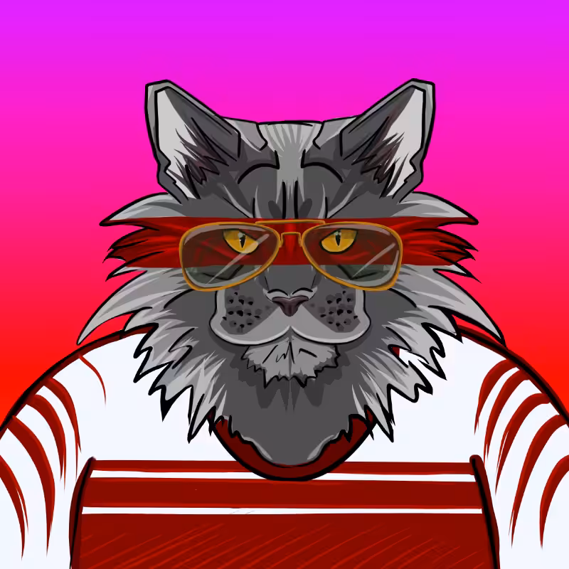 fxCat #26
