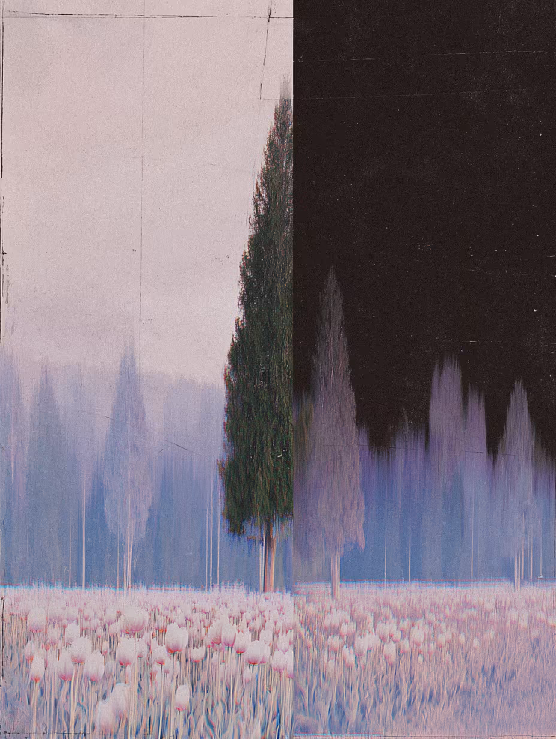 NeLandscape [28]
